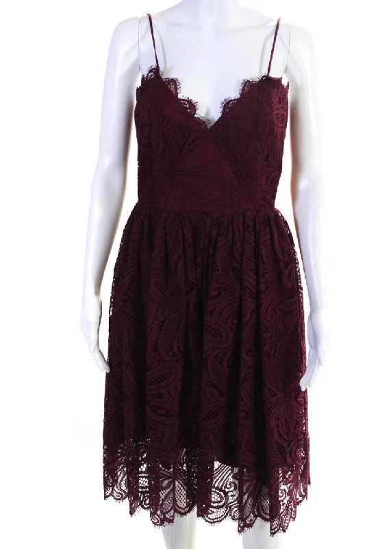 Zac Zac Posen Women's Wine Lace Camisole Empire Waist Dress